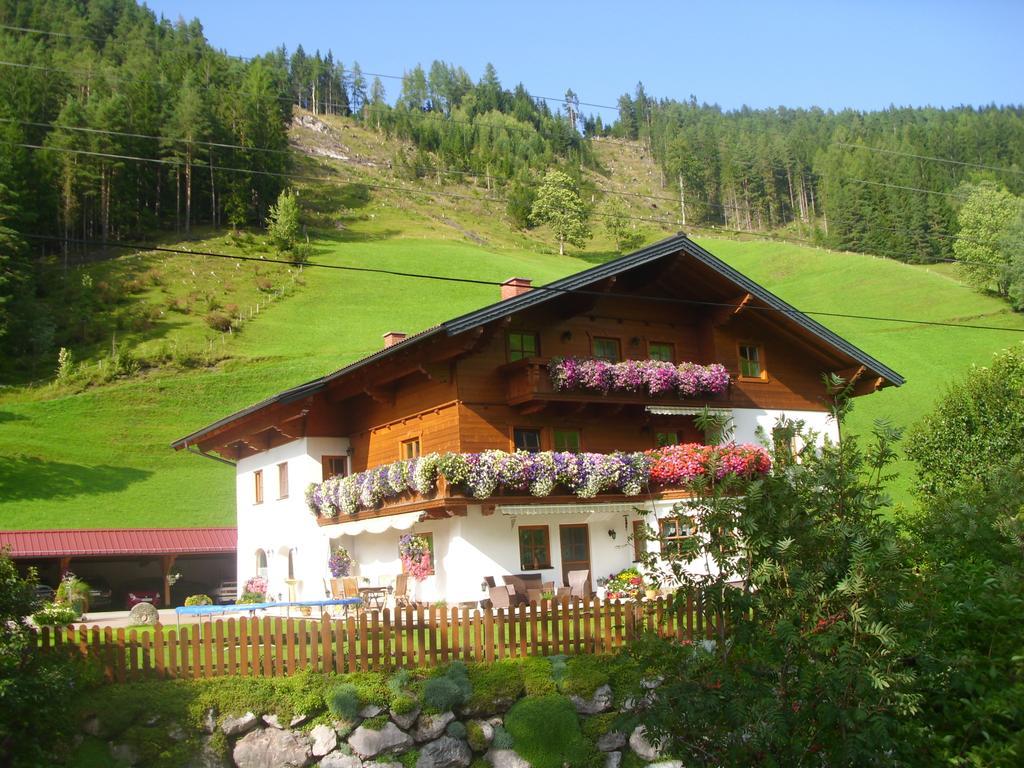 Appartement Untersteinhof à Forstau  Extérieur photo