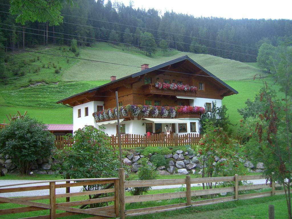 Appartement Untersteinhof à Forstau  Extérieur photo